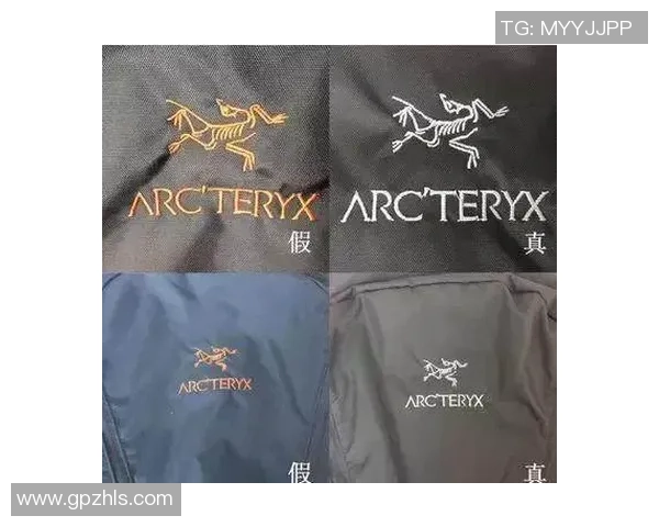 秘鲁与丹麦比赛中黄牌数对比分析及其影响探讨 秘鲁与丹麦比赛中黄牌数对比分析及其影响探讨