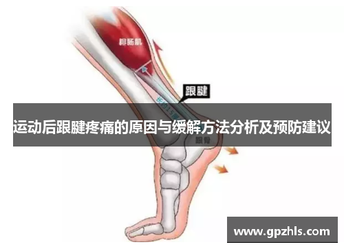 运动后跟腱疼痛的原因与缓解方法分析及预防建议