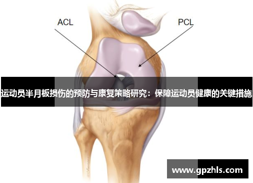 运动员半月板损伤的预防与康复策略研究：保障运动员健康的关键措施