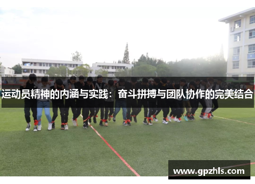 运动员精神的内涵与实践：奋斗拼搏与团队协作的完美结合